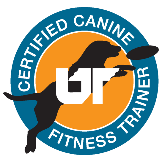 Programlogo CCFT - Certified Canine Fitness Trainer, further education in fitness and exercise training for dogs